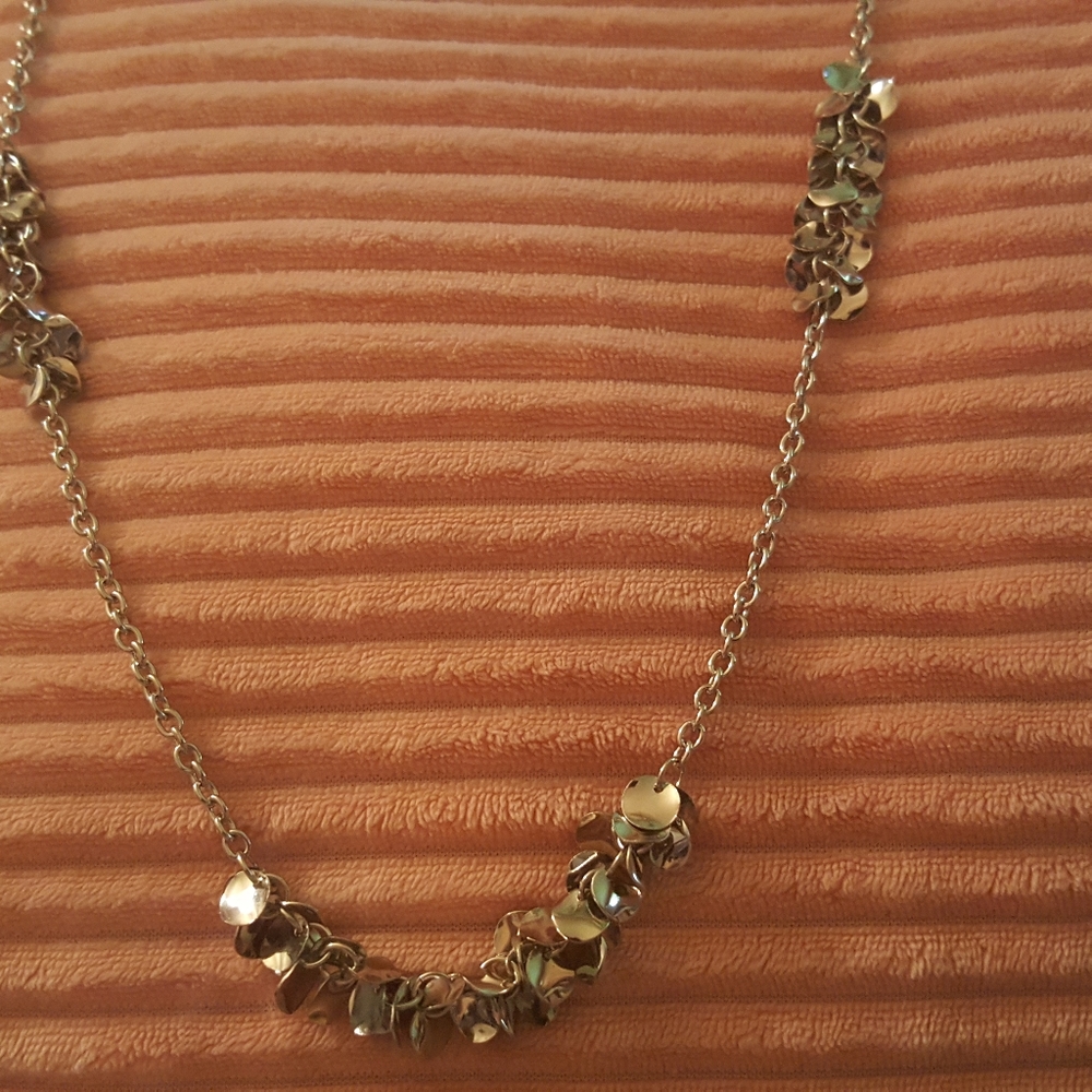 Shiny silver necklace